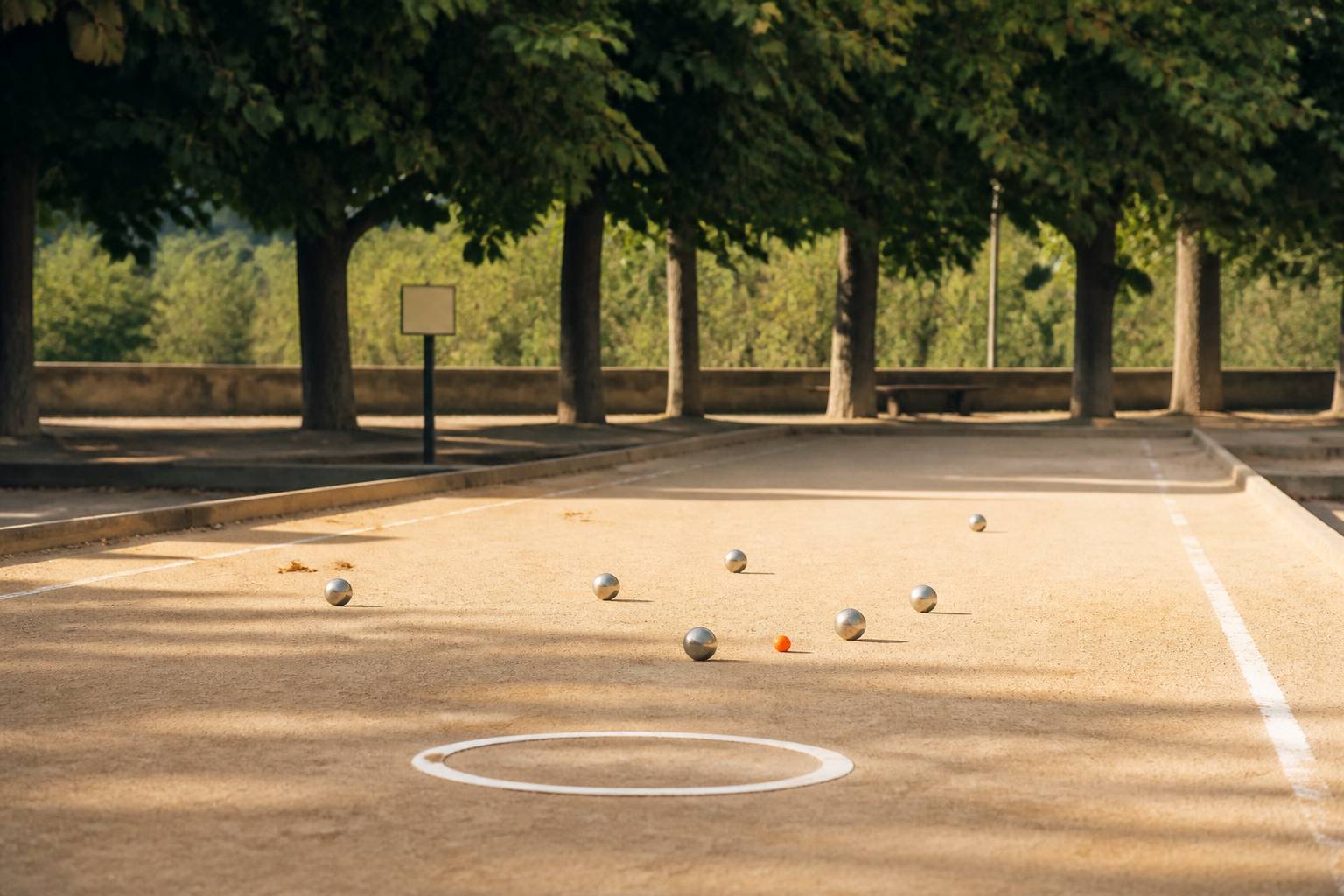 Aire de jeu de pétanque tracée avec cercle de lancer et lignes de délimitation